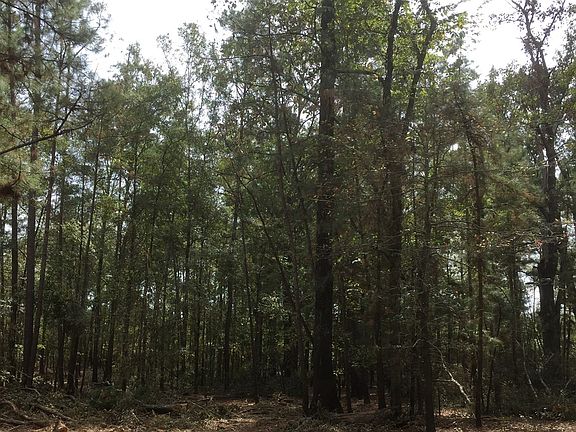 3rd image of 3544 County Road 1170