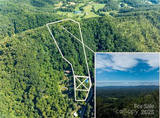 99999 McDaris Rd, Weaverville, NC 28787