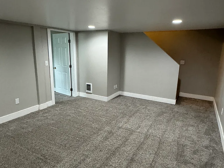 downstairs bonus living/family/flex area