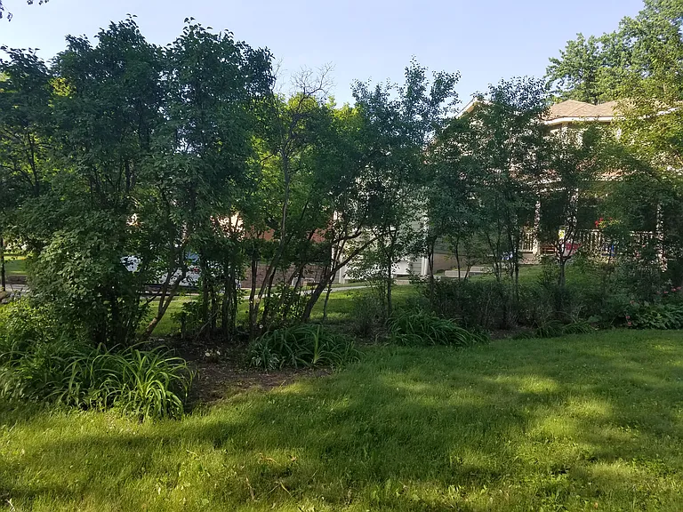 Property Line