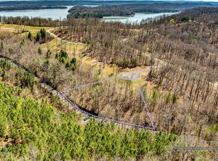 155 Smoke Rise Cv, Spring City, TN 37381