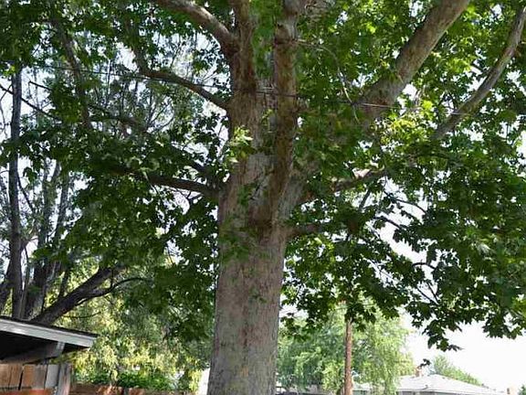 4th image of 1935 N 18th Dr