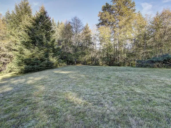 0 NE 142nd Ave, Amboy, WA 98601