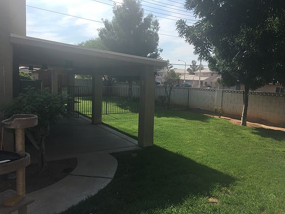 Huge back yard
