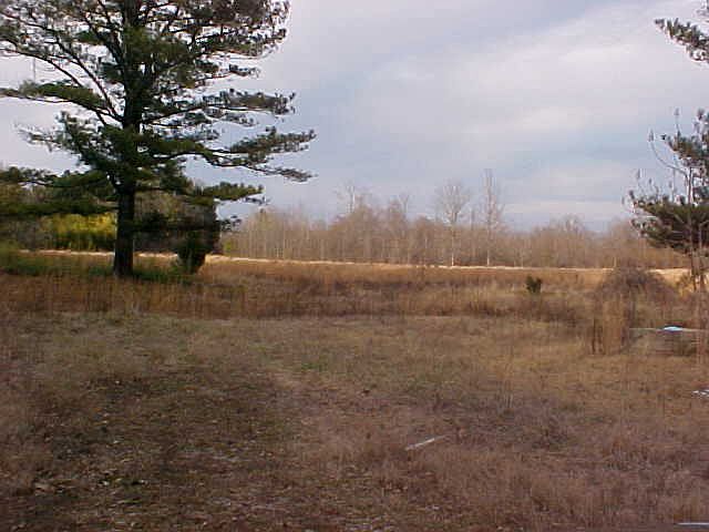 1st image of 439 County Road 444