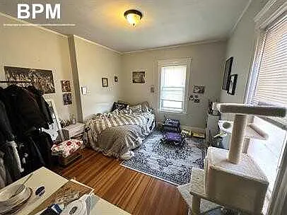 3 bed, $2,600 — Photo 4
