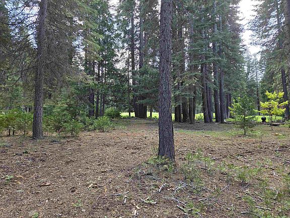 5th image of 254 Lake Almanor West Dr