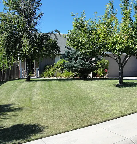602 Mountain View Dr Photo 1