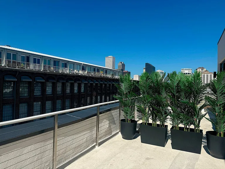 Terrace View