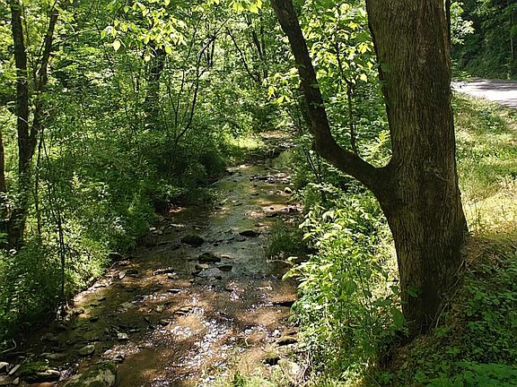 4th image of 206 Caney Creek Rd