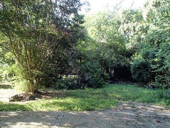 4th image of 1533 Cairn Cir