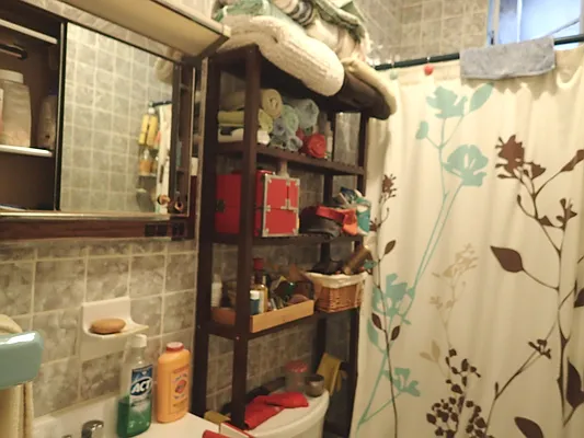 Rented by Brooklyn Heights Real Estate Inc | media 11