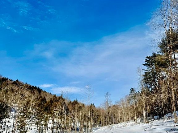 4th image of 266 Tory Hill Road