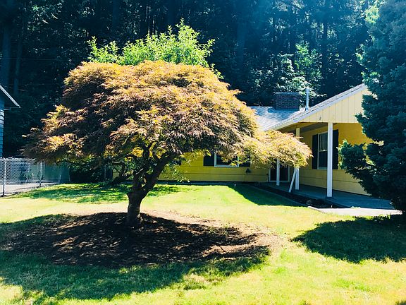 Front yard 