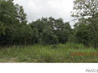 7343 S Dayton Point, Lecanto, FL 34461