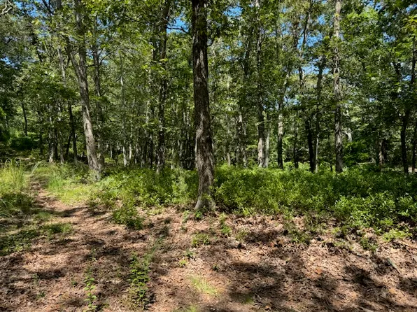 02 John Hoft Rd, Vineyard Haven, MA 02568