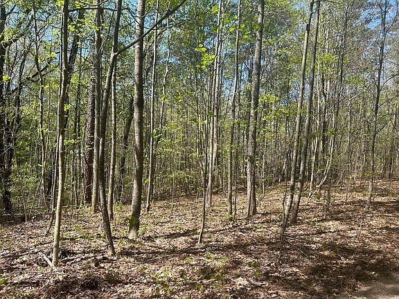 2nd image of 99 County Road 53