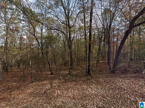 2nd image of 575 Funderburg Bend Rd