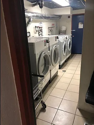 Rented by Voro, LLC | media 2