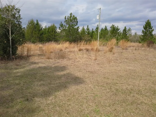 43105 Bear Lake Blvd, Deland, FL 32720