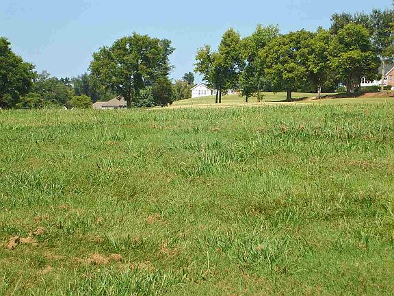 4th image of 309 Freedom Ln