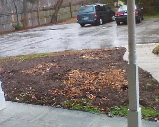 View from front porch-Possible boat or RV parking