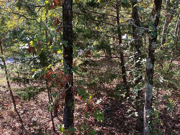 5th image of 14622 SE 180th Rd