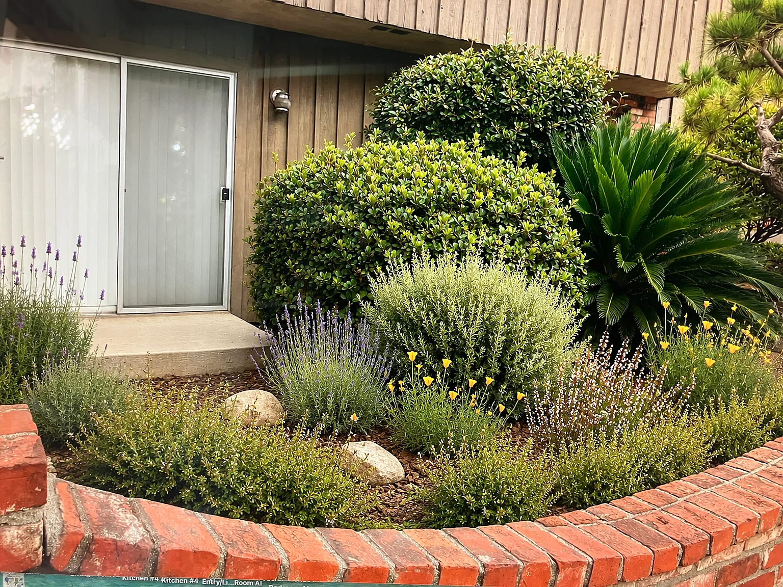 1 bed, 600 sqft, $2,295 — Photo 4
