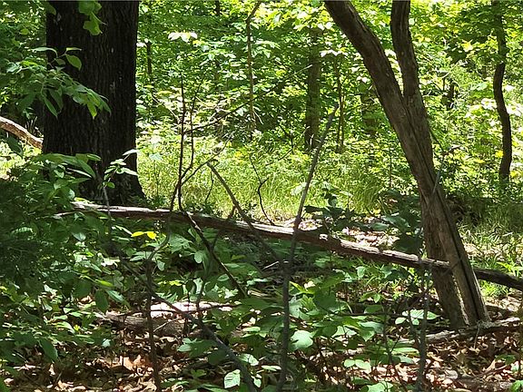 5th image of Tummell Dr #20