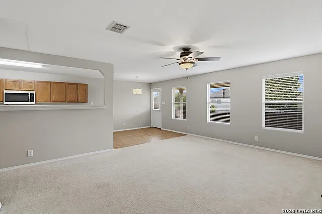 25537 Gold Yarrow — Photo 21