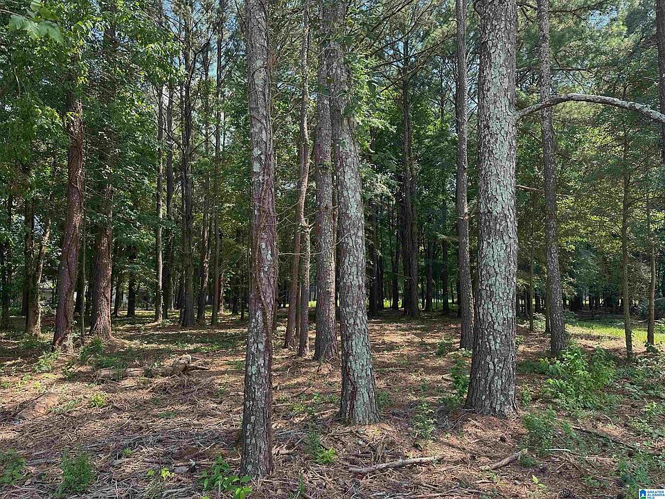 1st image of 0 Carrie Ct SW #68