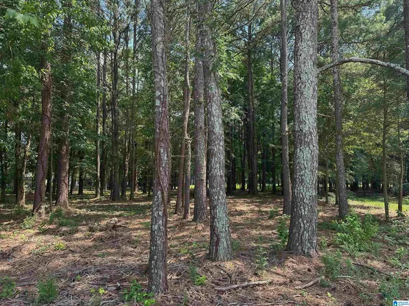 0 Carrie Ct SW #68, Jacksonville, AL 36265