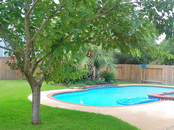 Backyard w/Pool