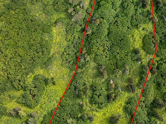 3rd image of 36484 Wild Haven Rd