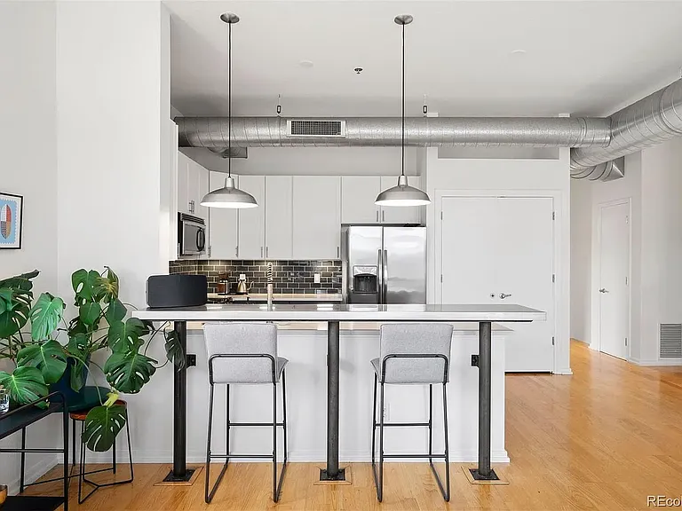 2900 N Downing St #311 — Photo 7