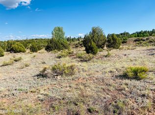 7039 Fir Dr, Show Low, AZ 85901