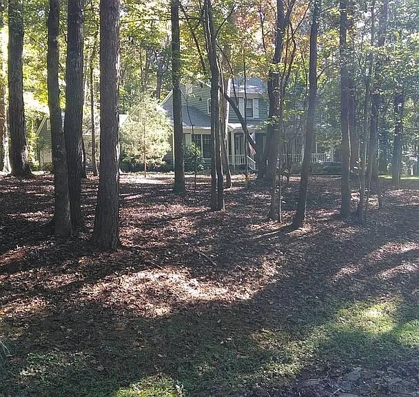 433 Raintree Dr — Photo 33