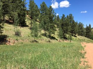 577 Willow Rd, Divide, CO 80814