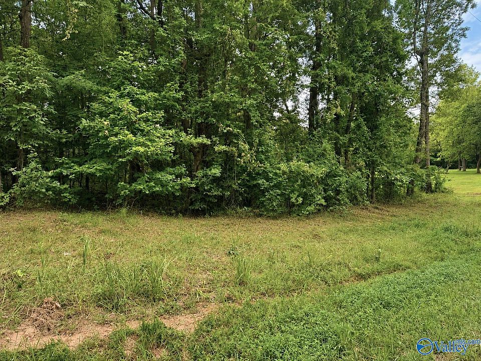 2nd image of 81 County Road 608