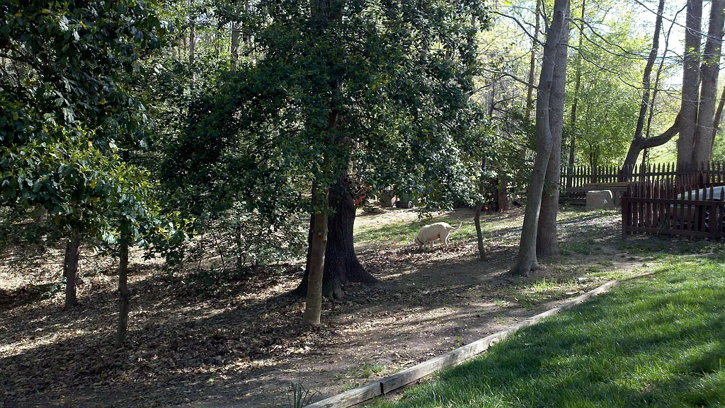 Property photo 4