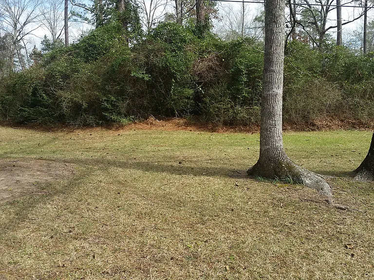 2013 Champions Backyard_02172017