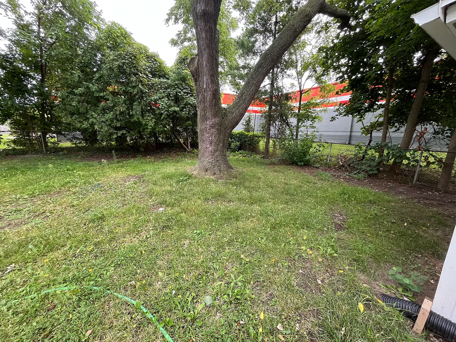 3 bed, 1168 sqft, $2,200 — Photo 4