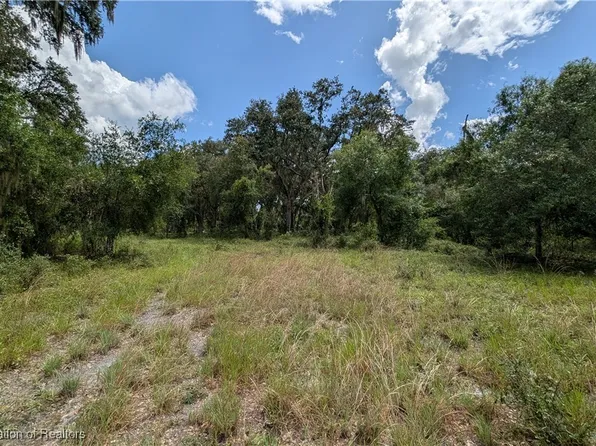Sasser Rd, Zolfo Springs, FL 33890