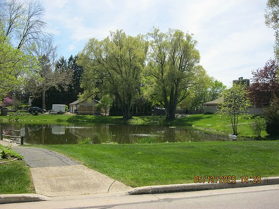 pond