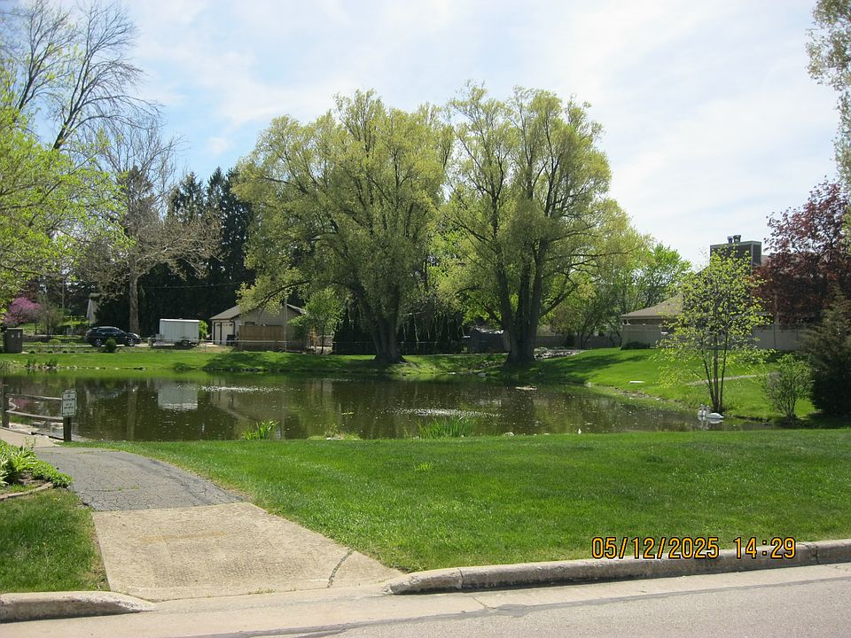 pond
