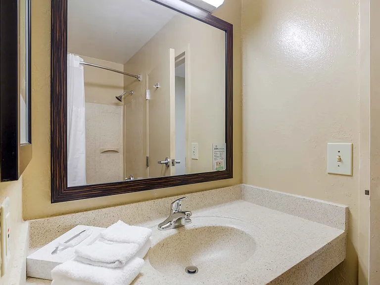 Studio Suite - 2 Full Beds