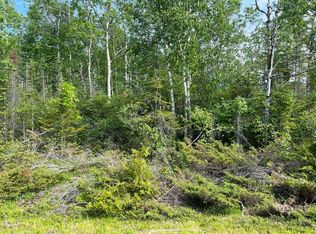 Laurelhill Cir, Presque Isle, MI