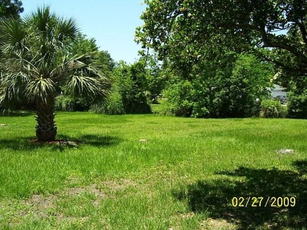 Cleared lot