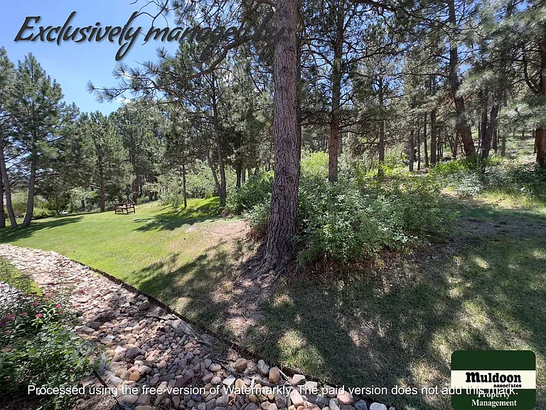 2247 Conservatory Point — Photo 15