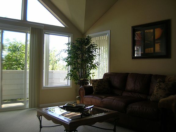 Living room with a view